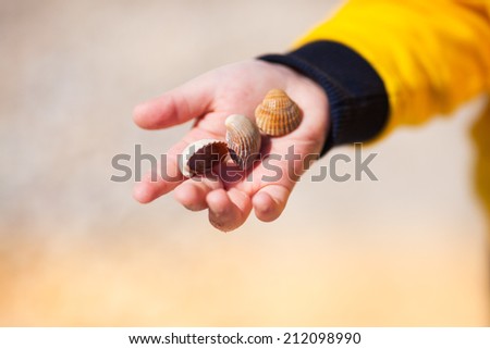 Close up of cild hand holding variety of beautiful sea shells