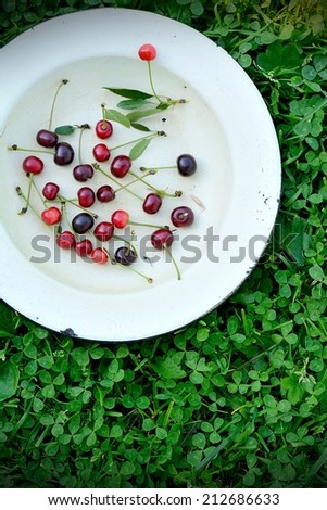Sweet fresh cherry fruits in bowl outdoor