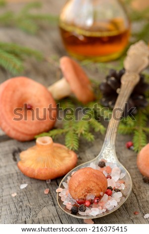 Coral milky cap mushroom with pink salt and pink peppercorn background