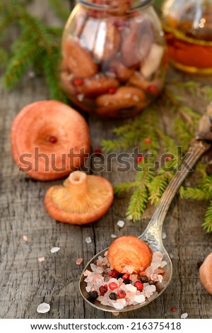 Coral milky cap mushroom with pink salt and pink peppercorn background