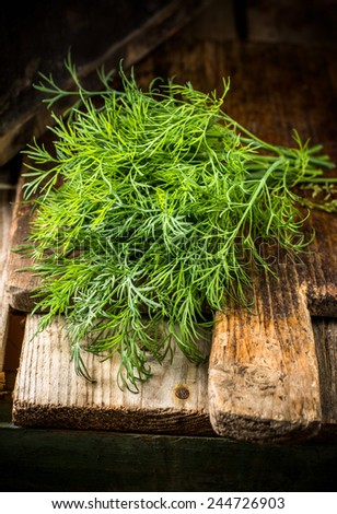 Fresh dill on rustic wooden table. Rustic style