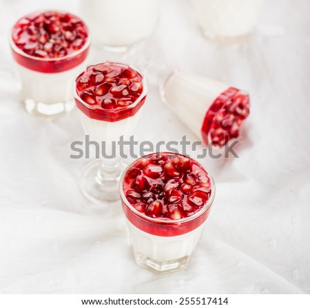 pannacotta  with pomegranate jelly and served pomegranate seeds and mint on a white background. selective Focus