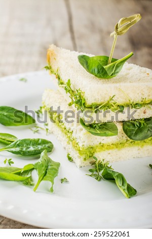 Toast with avocado paste and watercress. Selective soft focus