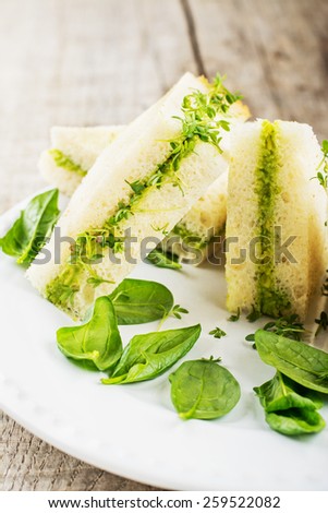 Toast with avocado and watercress salad on a white background. Concept of healthy food. selective Focus