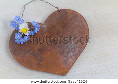Old love does not rust - a rusty metal heart with fresh flowers - forget me not