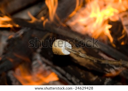 Marshmallow on a stick being roasted over a camp fire.