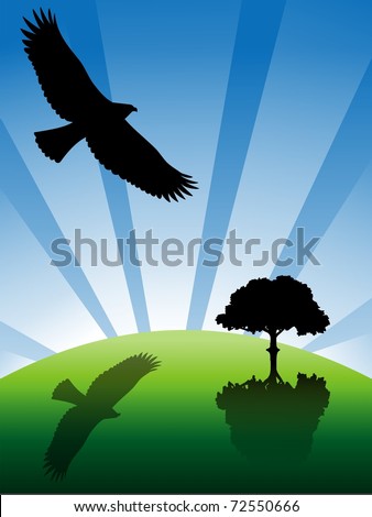Eagle silhouette flying in the sky casting its shadow on the ground