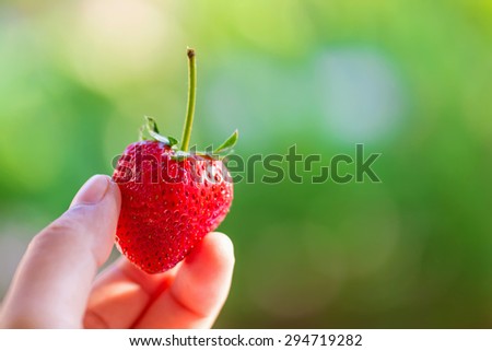 Hold strawberry in hand.