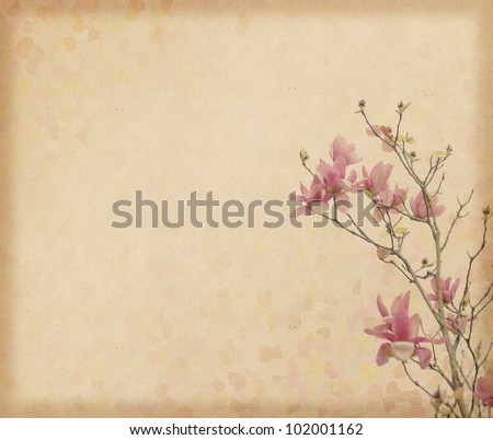 magnolia flower with Old antique vintage paper background