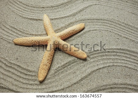 starfish with frame on the beach, vacation memories