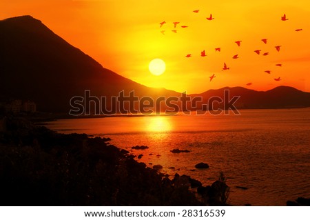 Birds Flying Sunset