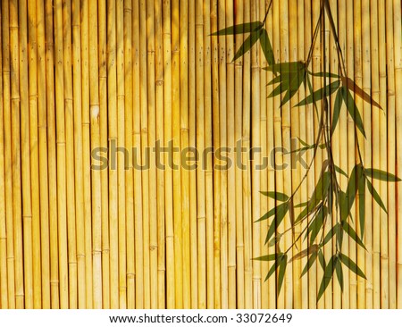 Light Golden bamboo Background great for any project. frame of bamboo-leaves background. Please take a look at my similar bamboo-images