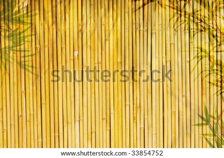 Light Golden bamboo Background great for any project. frame of bamboo-leaves background.