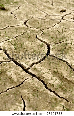 drought ground