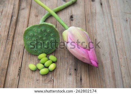 lotus flower with fresh lotus seeds from lotus plantation
