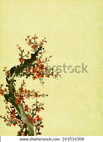 Traditional chinese painting Spring plum blossom on Old  vintage paper background