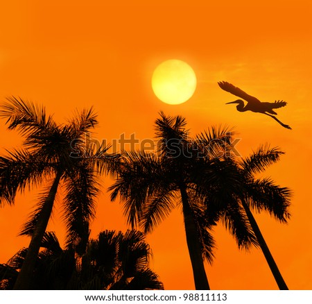 Palm tree silhouette on paradise sunset
