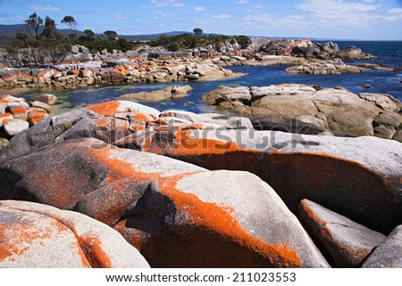 Bay of fires with orange lichen boulders and blue seas.
