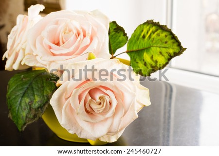 Roses on the desk in the room with window as background