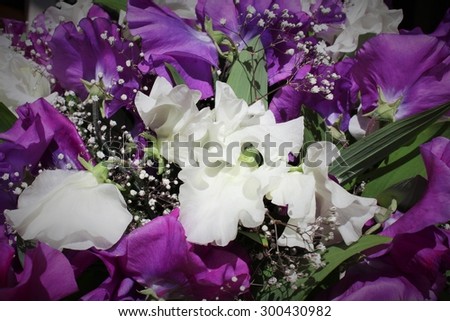 Bouquet of sweet peas in different colors