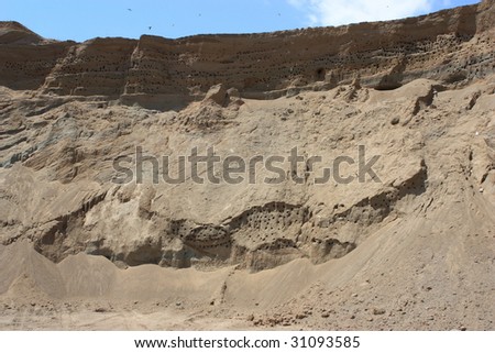 Swallow nests in sand and swallows flying