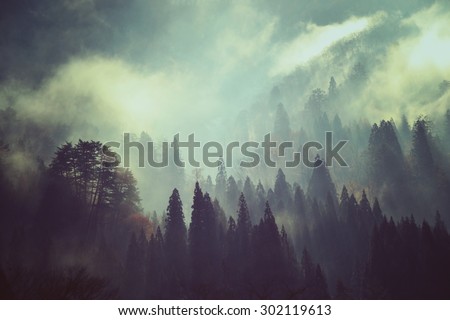 Fog and snow on mountain. Landscape in vintage style