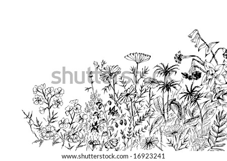Floral Meadow - Monochrome Hand-Drawing. Stock Photo 16923241