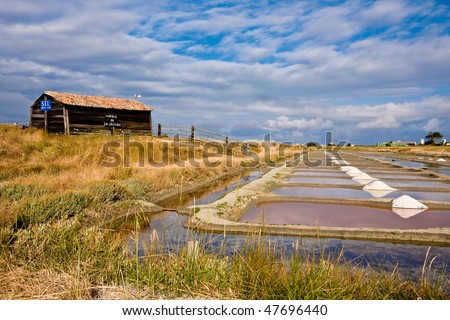 Breton marsh in Vendee in the west of France