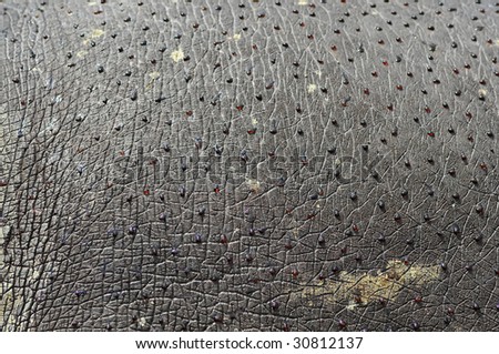 reddish droplets on the hippos skin are in fact two unstable sunscreen pigments which protect it in the absence of fur which look at first sight like blood.  One is antibacterial other antisceptic