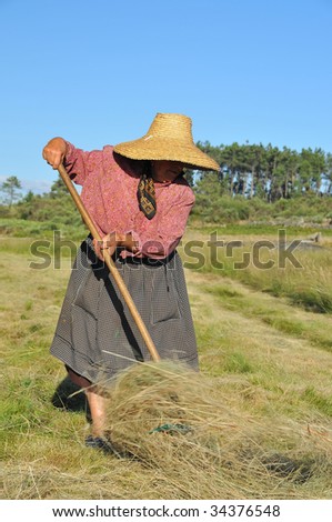 an ageing lady farmer in traditional dress turns the hay with a hay fork. she protects her head from the strong sun with a straw hat