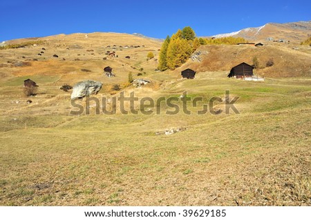 log cabins spaced out in mountain meadows in the fall with snow on the crests of the mountains