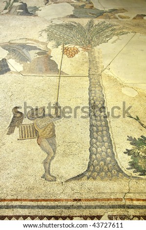 famous ancient byzantine mosaic of a trained monkey collecting dates from a date palm using a pole.  the monkey carries a cage with a falcon on it.