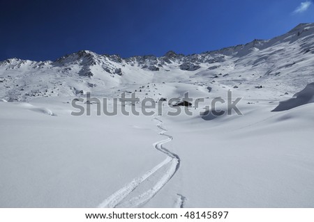 fresh powder skiing