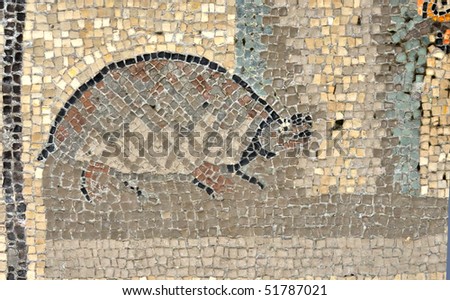 ancient roman mosaic of a tortoise (land turtle) depicted on the UNESCO listed floor of the basilica of Aquileia in Italy