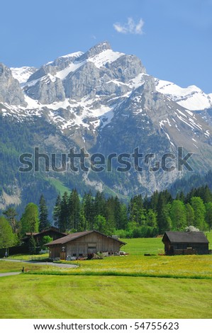 Alpine meadows and farms at the exclusive swiss alpine resort of Gstaad with a backdrop of mountains and glaciers