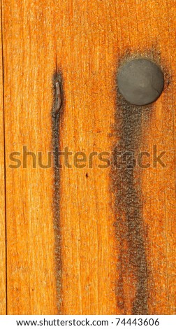 400 year old wood with original nail and stud, with rust stain in the grain