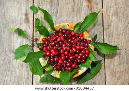 a bowl of freshly picked wild cherries on a table with cherry leaves