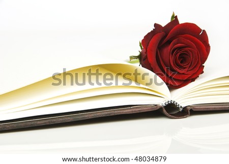 a Close up abstract of a leather covered journal book with a red rose