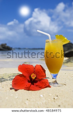 a Fresh fruit cocktail drink with a poinsettia flower on a tropical island beach