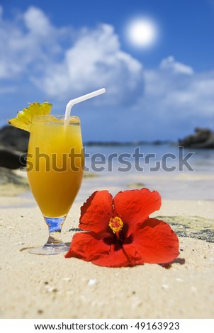 Fresh fruit cocktail and red poinsettia flower on a tropical island beach