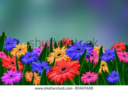 Colorful+daisies+background