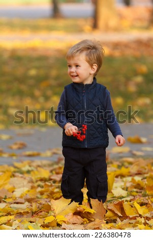 Beautiful little boy walks in autumn park with a rowanberrys in the hands