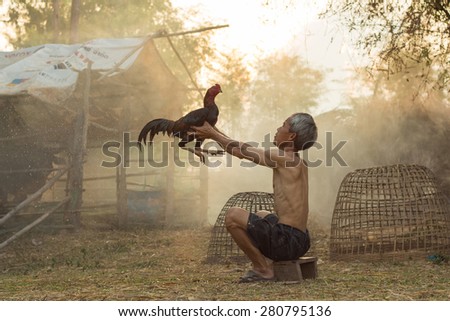 The man with cock fighting Is a way of life in the popular East. And current Gamecock sports are very popular. Make Money with fixation on fighting sports.
