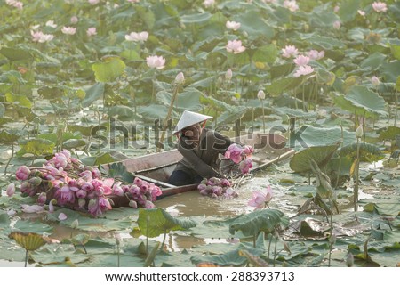Woman holds a lotus flower in the garden ,The living conditions of the rural drought is making bracelets. To keep lilies and lotus go on sale.