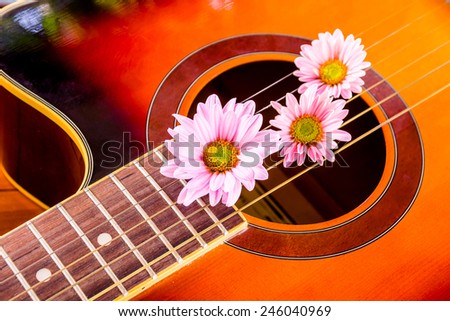 romance music,flower on guitar