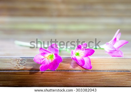 rain lily on bamboo plate