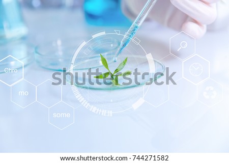 selective focus a small organic plant, Beauty background, scientist is sampling a chemical extract from organic natural, research and develop background,