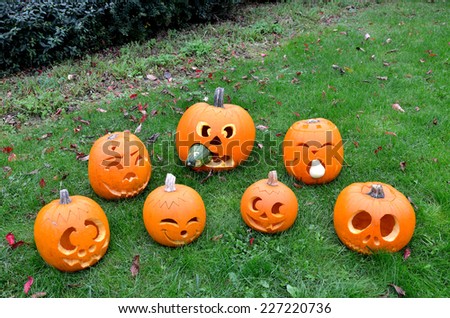 Seven Pumpkins  /   Overview of our freshly carved pumpkins for Halloween.