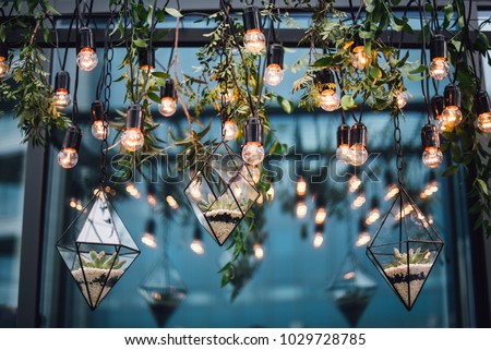 Florariums with stones and flowers hang among the lamps from the ceiling. Decor