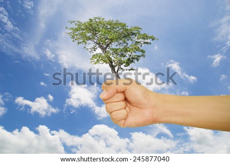 tree in hand with blue sky.
